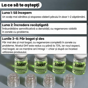Sistem de regenerare a părului Soras